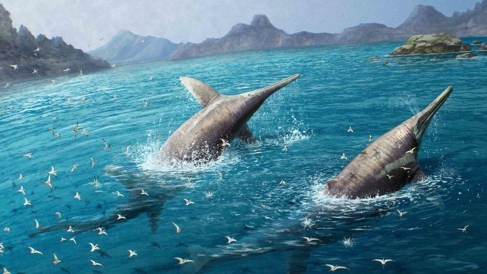 An illustration of a giant pair of swimming Ichthyotitan severnensis in the sea.