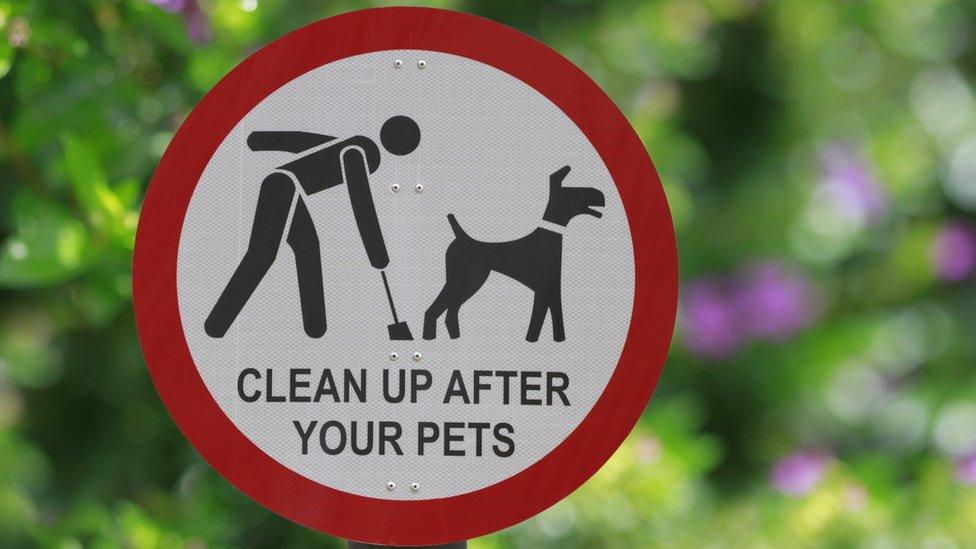 A sign urging dog walkers to 'clean up after your pets'