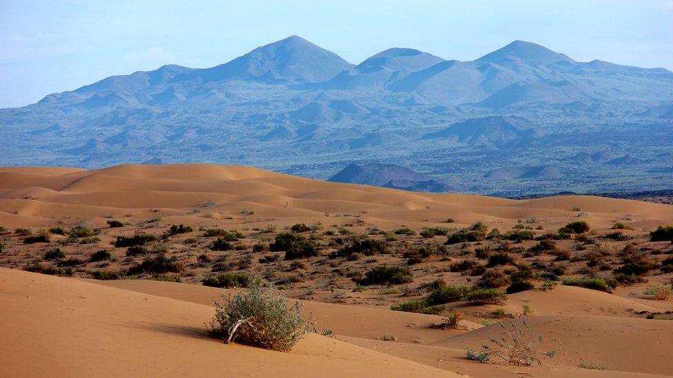 El Pinacate reserve is one of the driest places on Earth