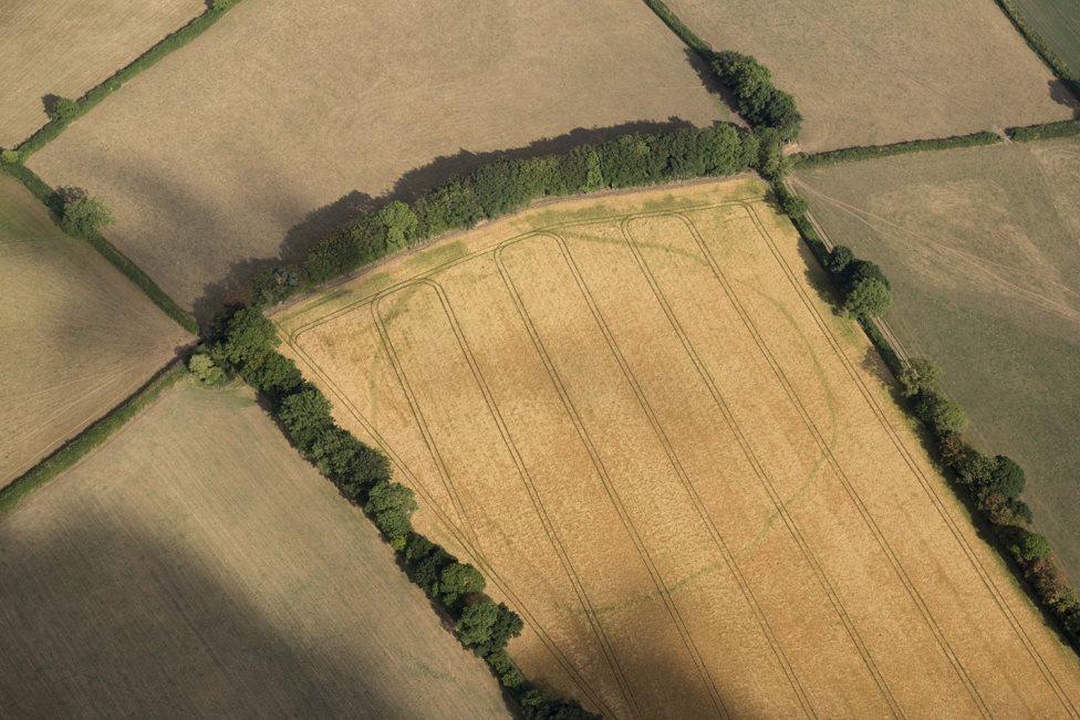 An ancient enclosure in Churchstanton