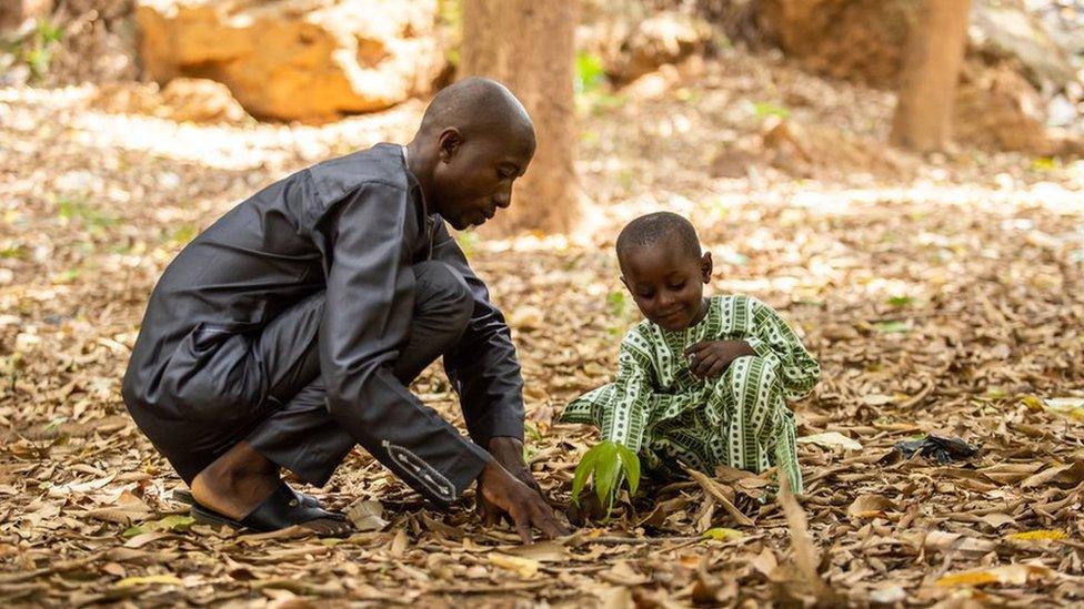 A man and a boy planting a tree