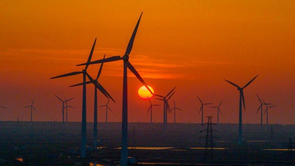 Wind farm in sunset