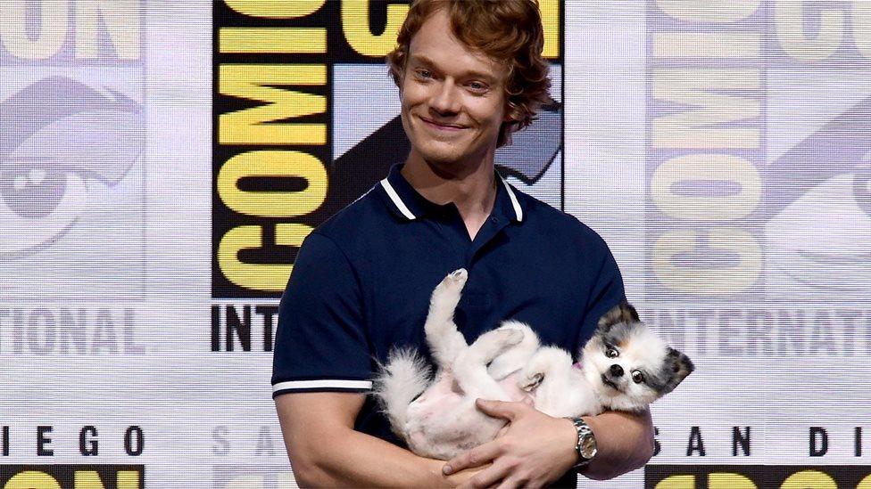 Alfie Allen