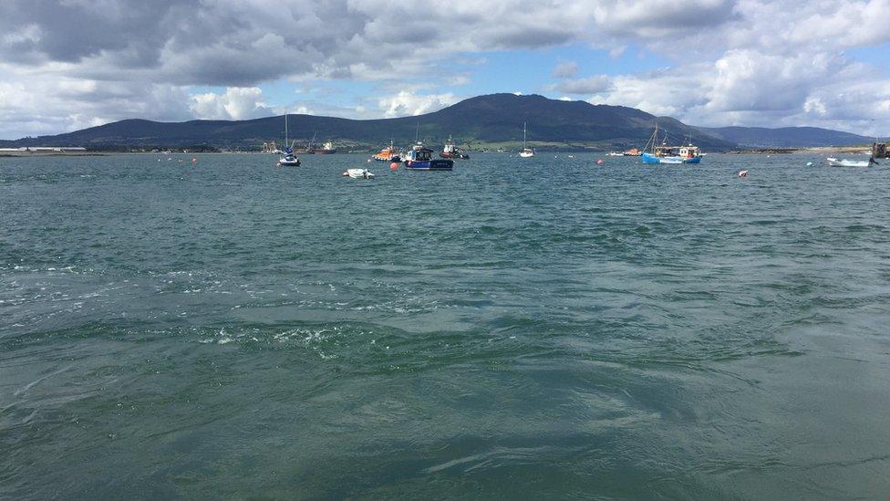 Carlingford Lough from the Northern Ireland side with the Cooley Mountains in the distance.