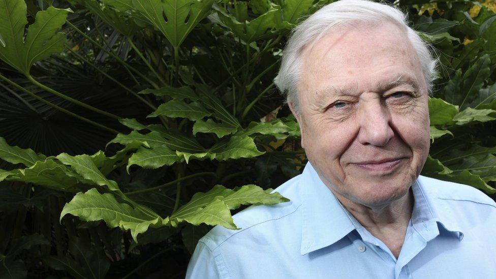 David Attenborough