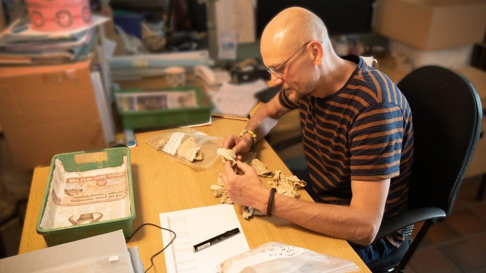 An archaeologist holding samples in a lab