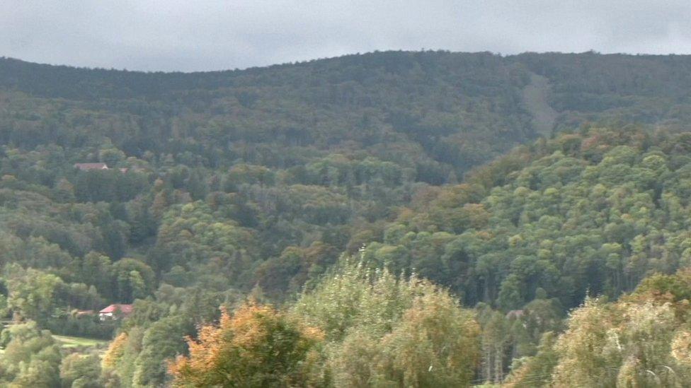 Julia disappeared in a dense, wooded area a short distance inside the Czech Republic