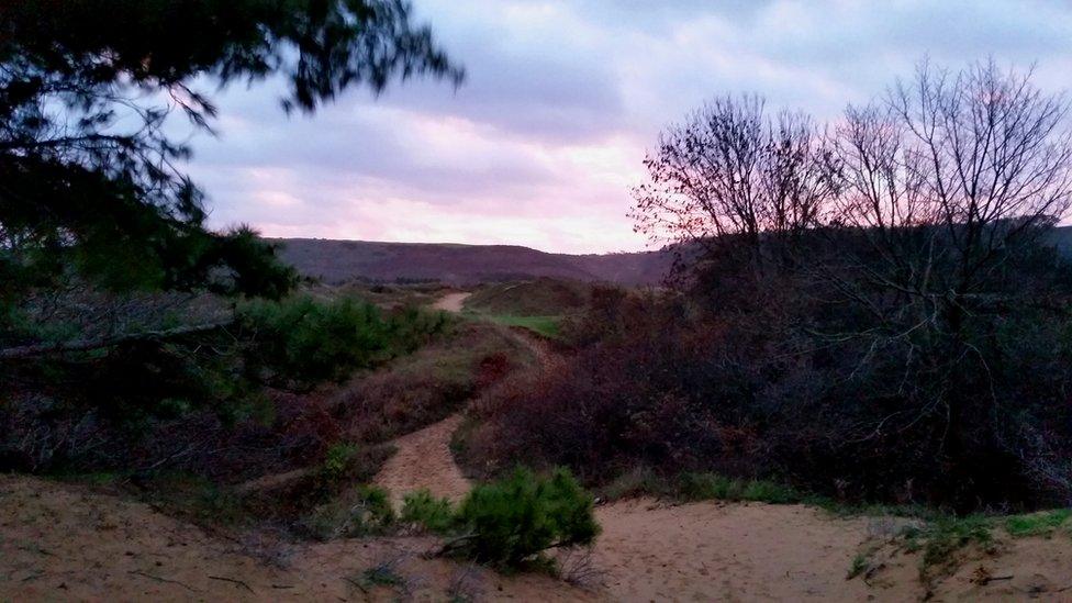 Merthyr Mawr sand dunes at dawn