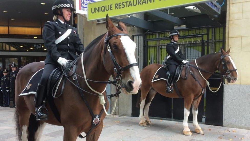 police horses