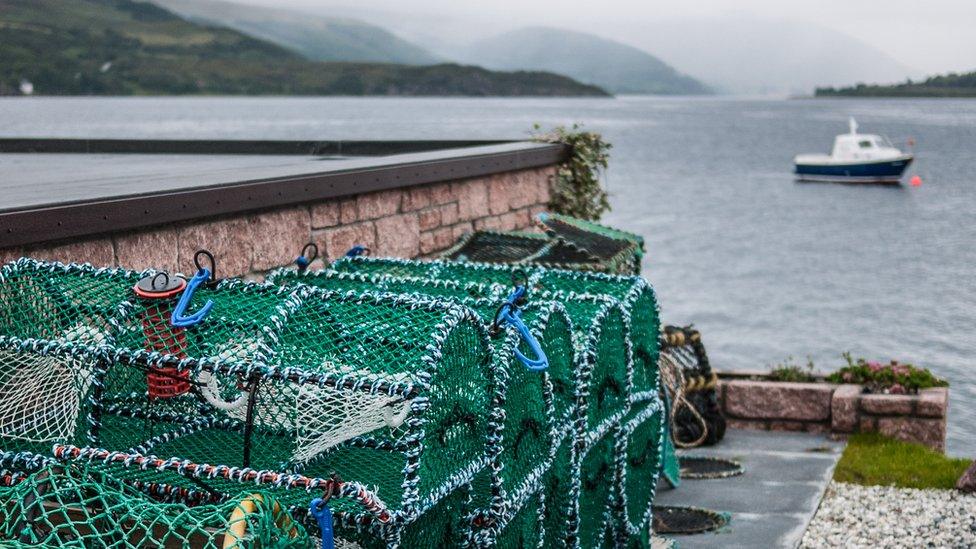 Fishermen's pots at the harbour