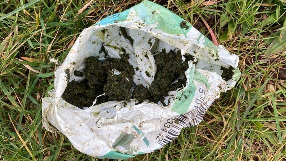 Cannabis in a discarded carrier bag