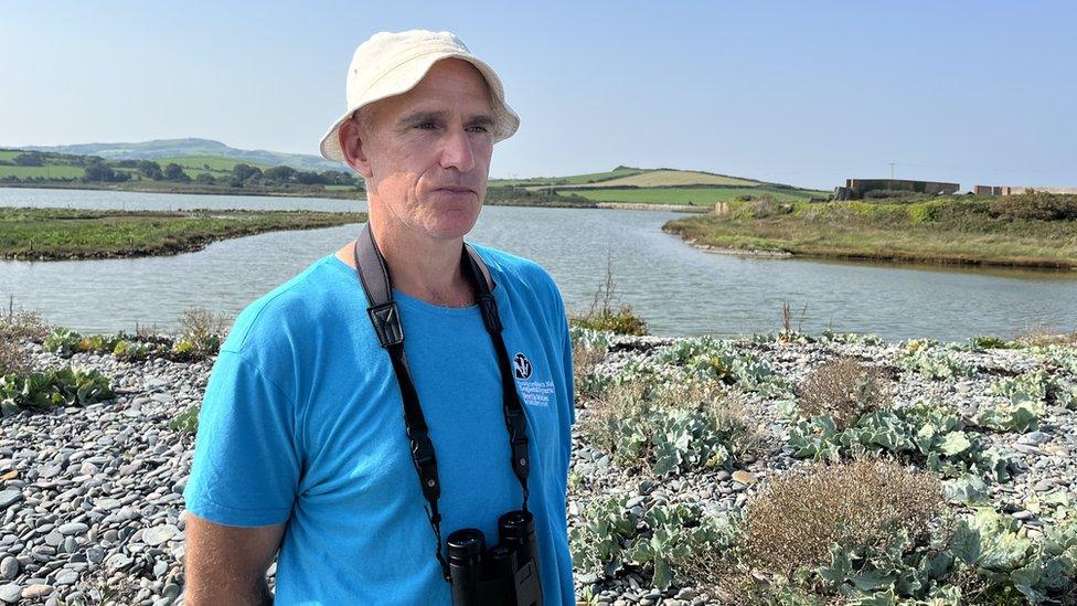 Ben Stammers, North Wales Wildlife Trust (BBC picture)