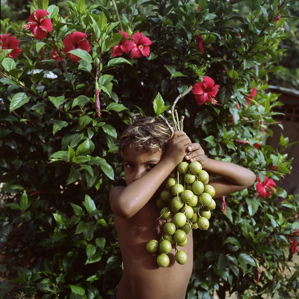 Five-year-old Alfred Flores holds a bunch of quenettes in Patanemo, Venezuela.