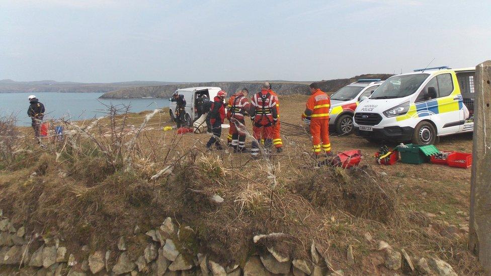 Fire and RSPCA rescue teams at cliffs in Mathry, Pembrokeshire