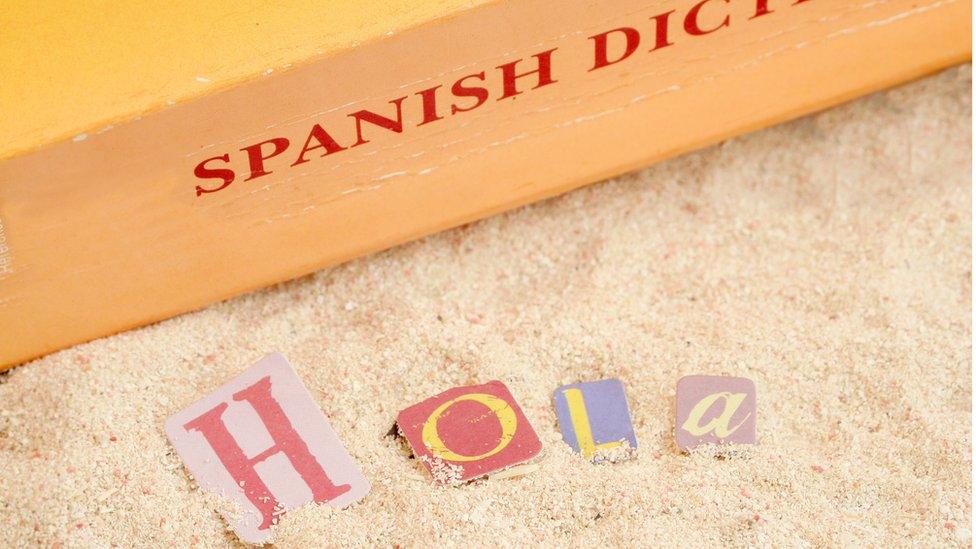 Spanish dictionary