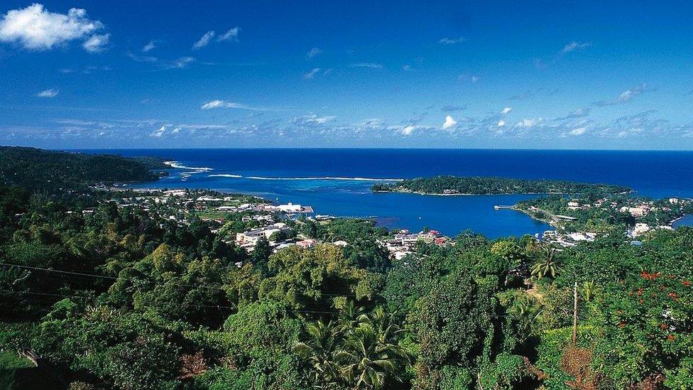 he tropical forest surrounding Port Antonio, Jamaica.