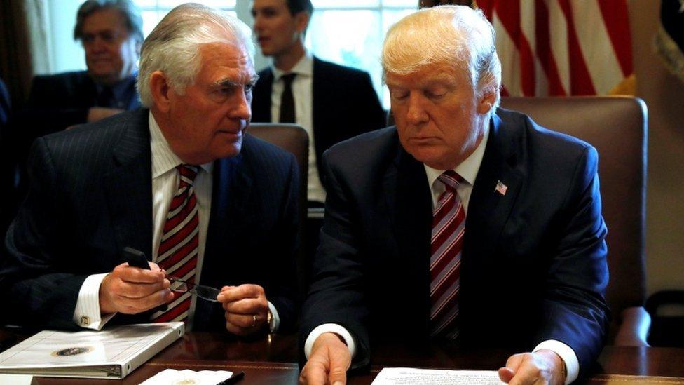 US President Donald Trump talks with Secretary of State Rex Tillerson at the White House on 12 June, 2017.