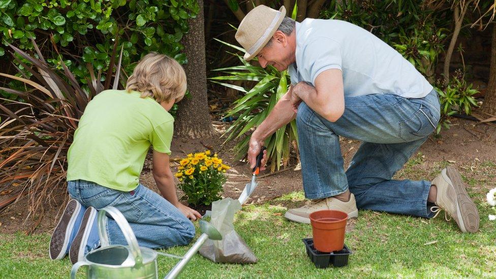 Boy and grandfather gardening together.