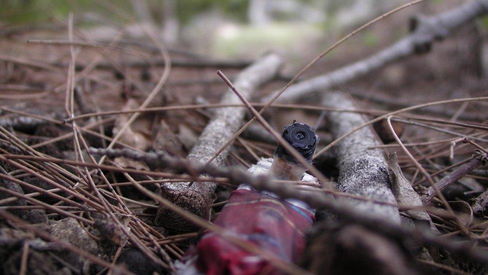 'crowcam' lying in undergrowth