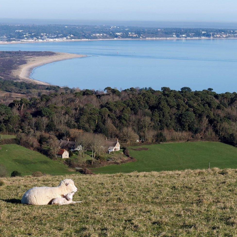 SUNDAY - Ballard Down