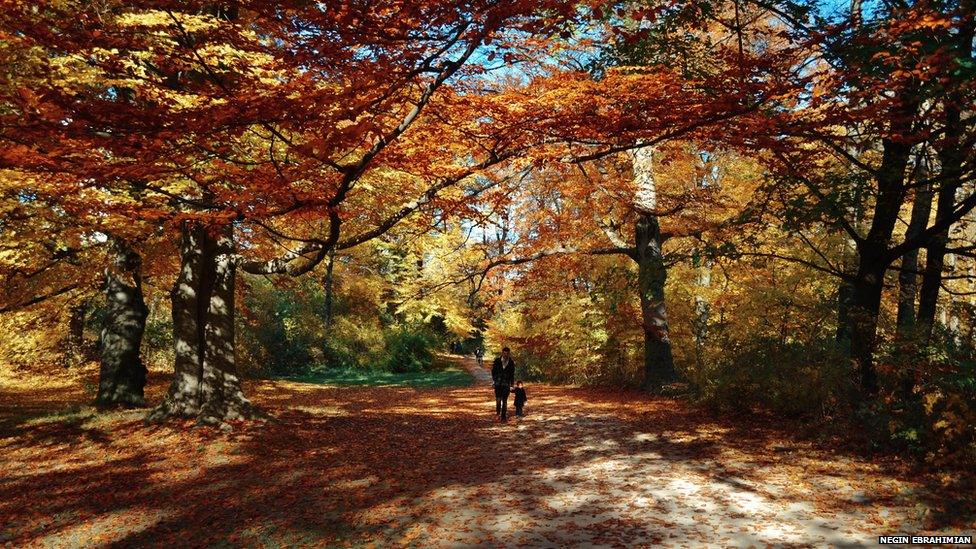 Englischer Garten, Munich