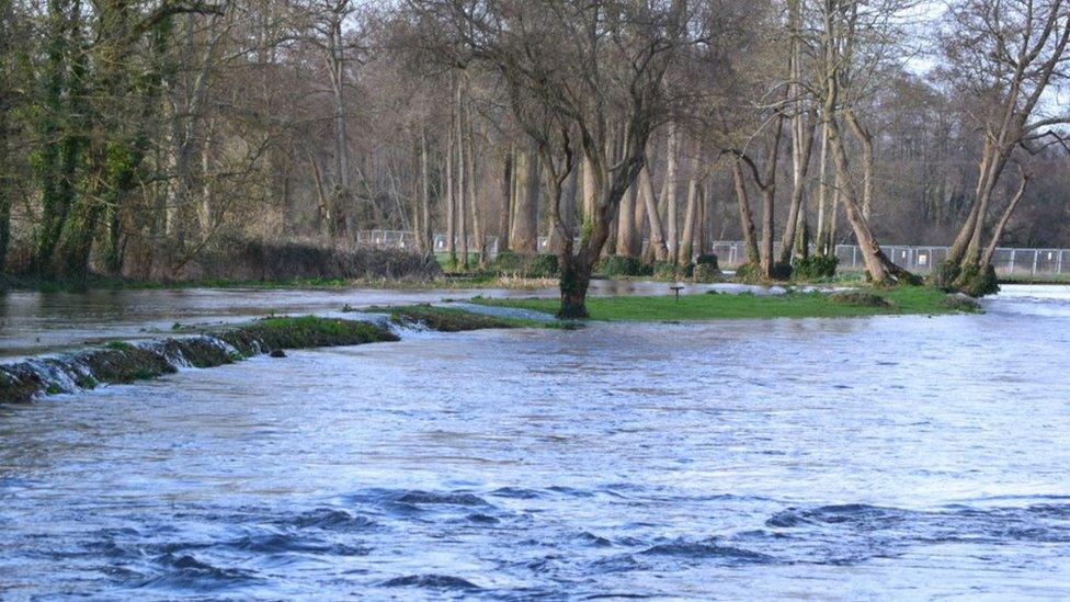 River Test overflowing in 2020