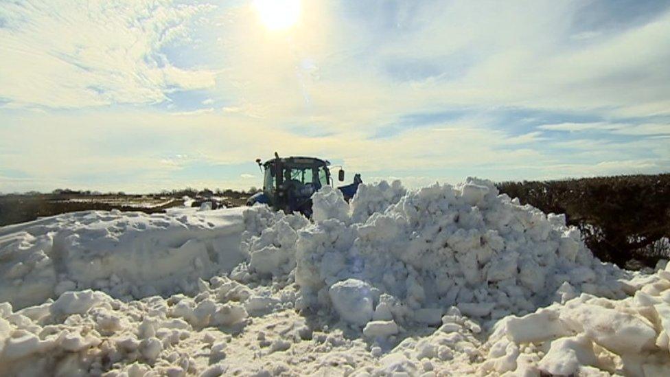 A tractor helps clear deep snow from a road in Vale of Glamorgan