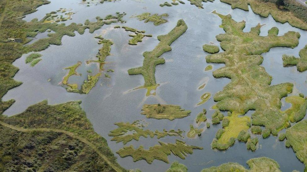 An artist impression of the wetland habitat created by the project