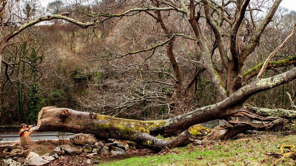 Simon yn dechrau ar y gwaith o gerfio'r ddraig