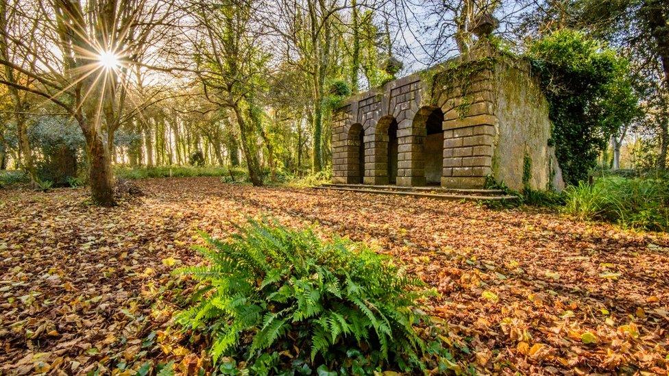 Autumn leaves on the ground at Stackpole Court