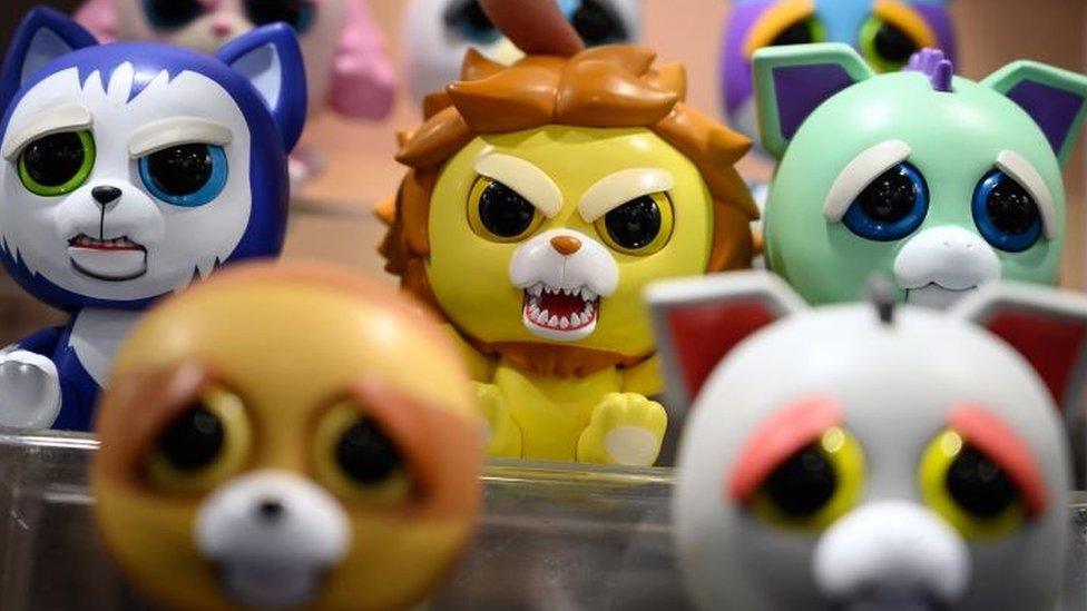 Feisty pets at Toy Fair 2019