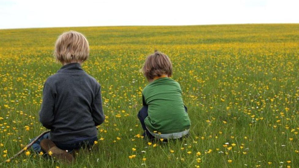 Two children in a field - posed library picture