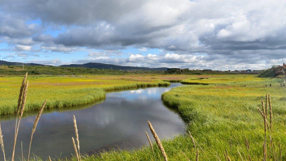 Arctic tundra in summer (c) NOAA