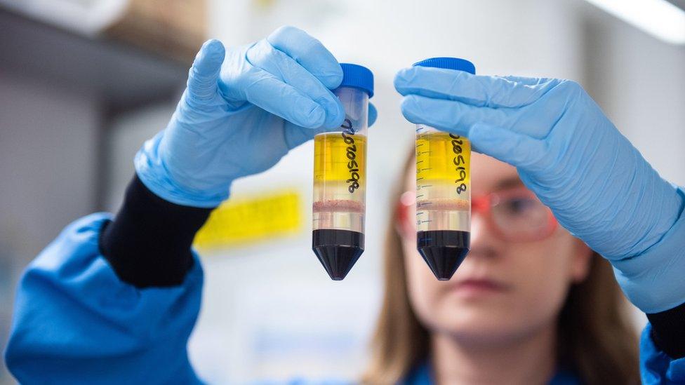 Undated file handout photo issued by the University of Oxford of a researcher in a laboratory at the Jenner Institute working on the coronavirus vaccine developed by AstraZeneca and Oxford University.