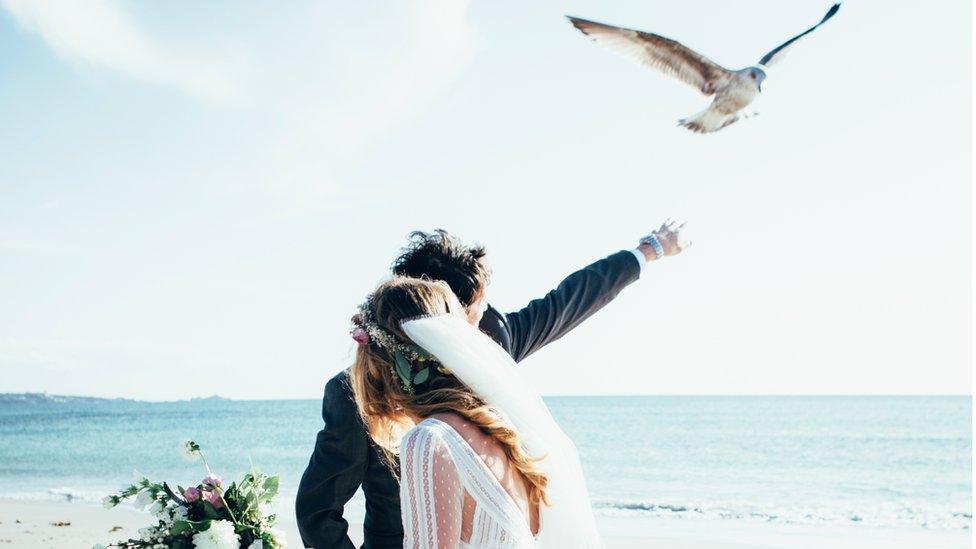 Jersey seagull Gulliver dive-bombing bride Charlie Watkins