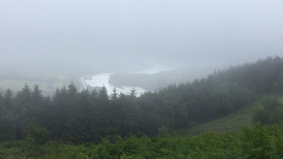 Aerial view looking towards Warrenpoint