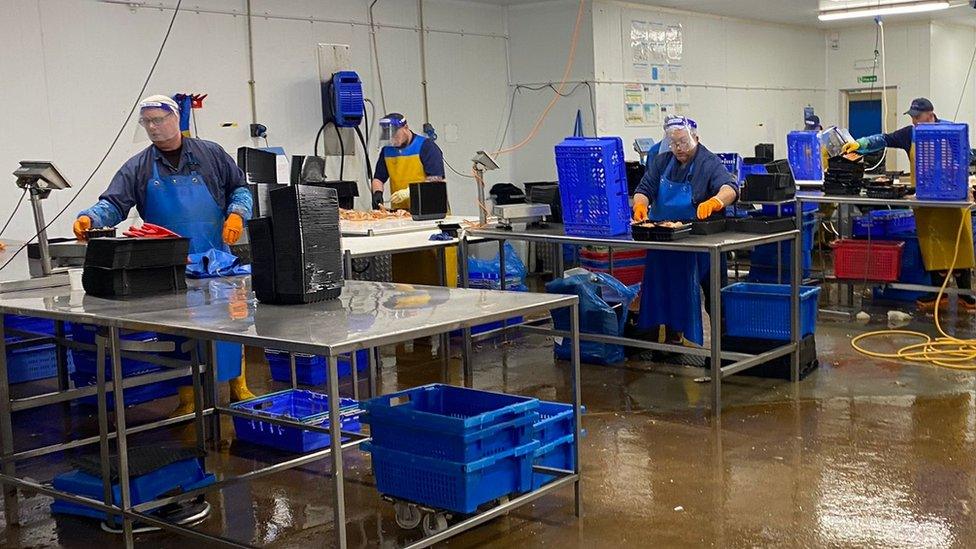 Workers at Coquet Island Shellfish Company