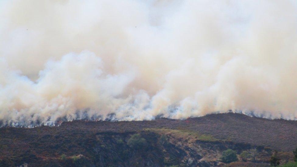 Llantysilio mountain fire