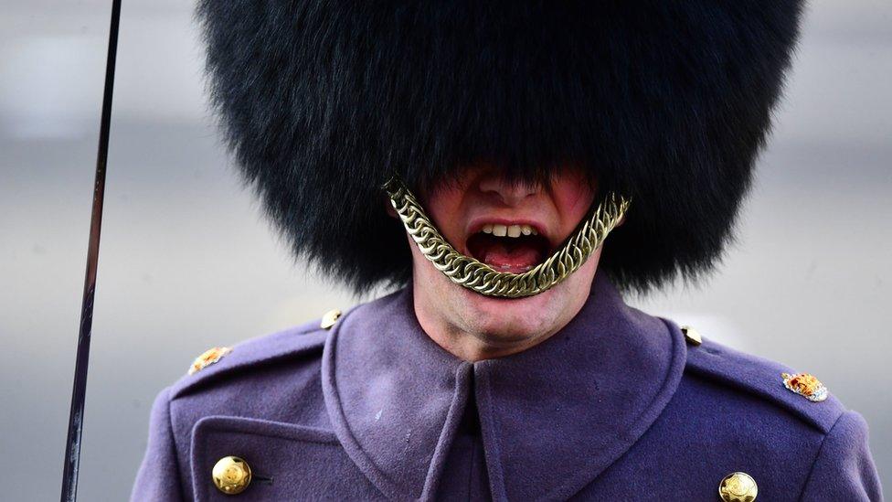 A Royal Guardsman during the remembrance service at the Cenotaph memorial