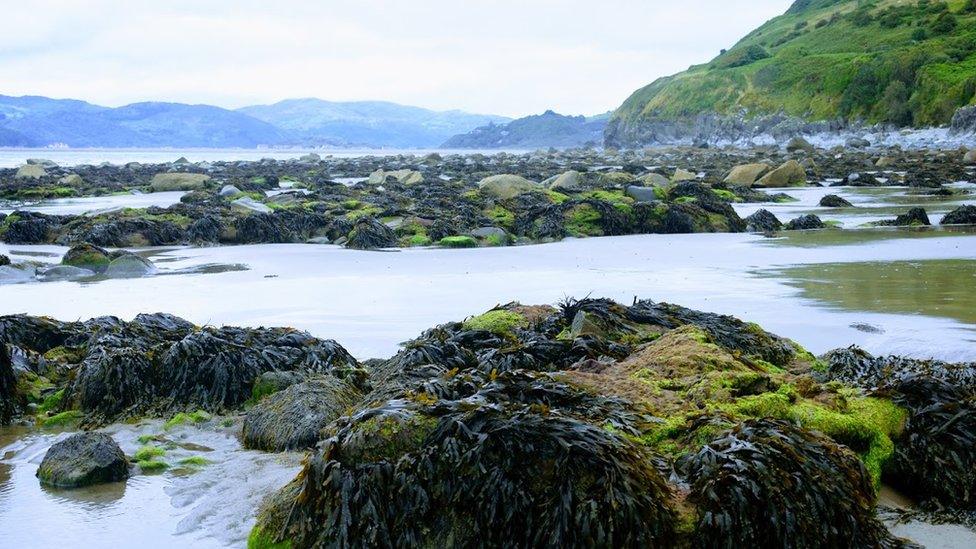 Low tide at Llwyngwril, Gwynedd