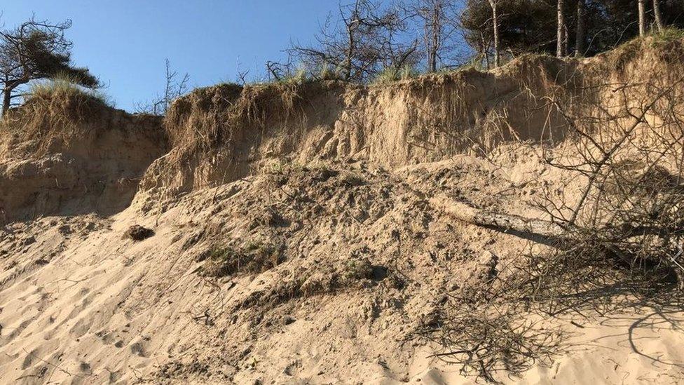 The collapsed sand dune on Newborough Beach, Anglesey