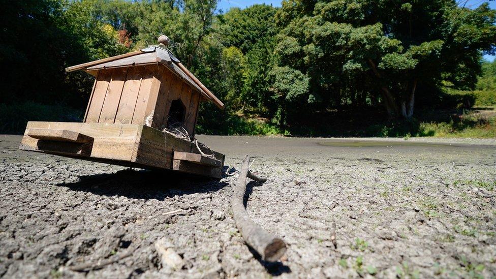 A view of bird house beside a dried up pond in the village of Northend in Oxfordshire