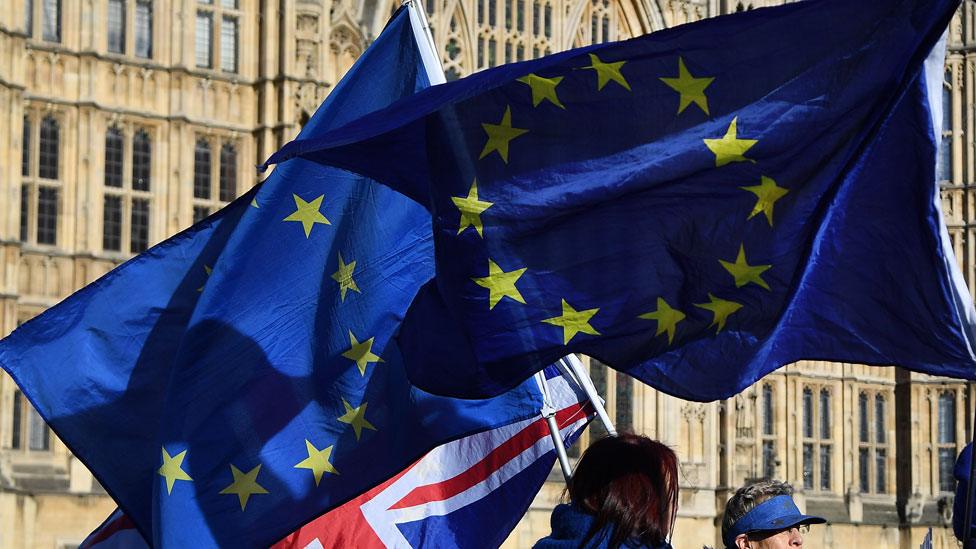 Flags outside Westminster