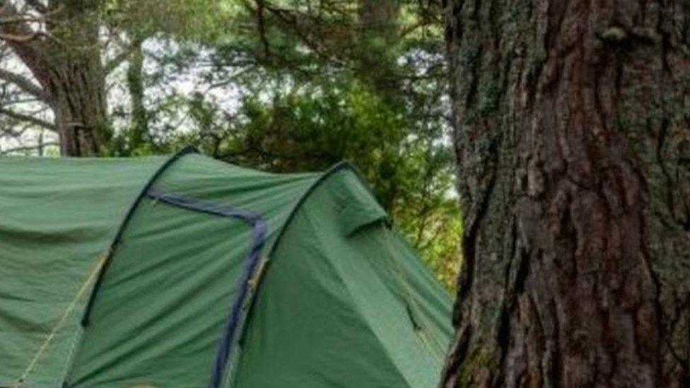 a tent in the woods