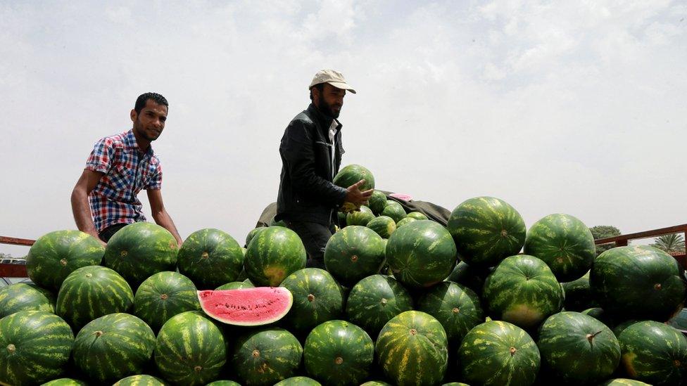 Men sell vegetables at a fruits and vegetables market in Benghazi, Libya May 15, 2016