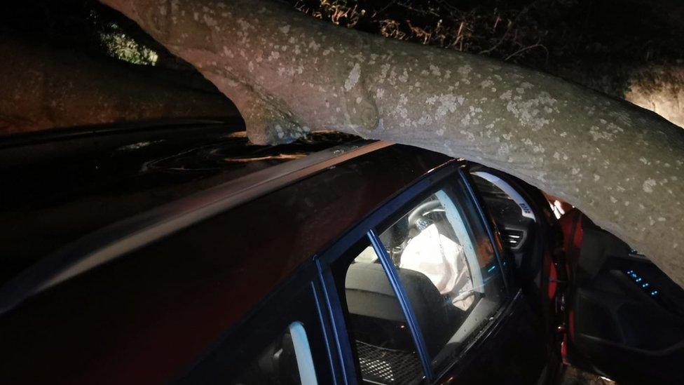 Paul Mee's car under the tree