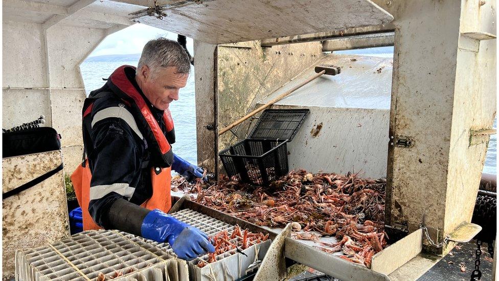 Fisherman sorting out his catch on boat