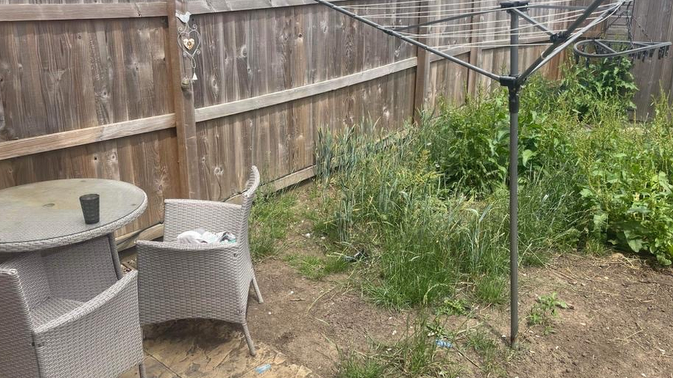 an older photo of the garden, overgrown with weeds