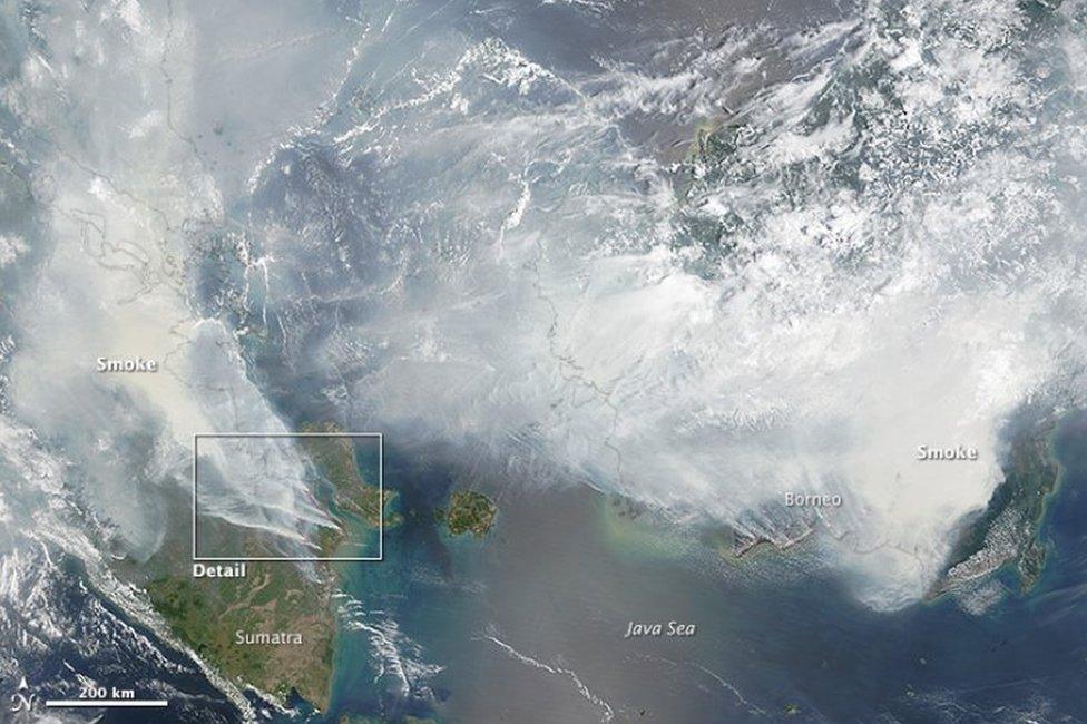 Satellite images of the haze caused by forest fires in Indonesia on 24 September 2015