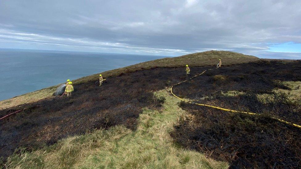 Burnt area on Peel Hill